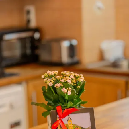 A Piece Of History Lägenhet Braşov