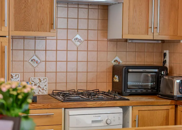 A Piece Of History 公寓 布拉索夫