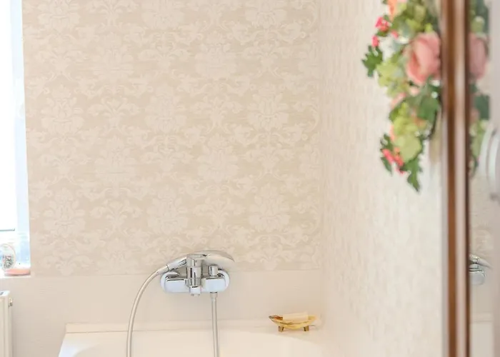 A Piece Of History * 布拉索夫