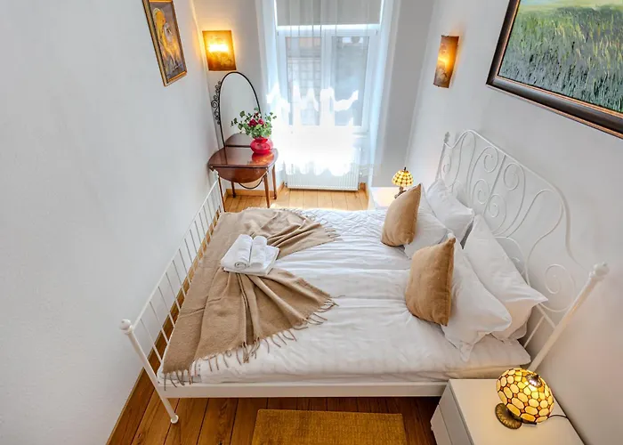 公寓 A Piece Of History 布拉索夫